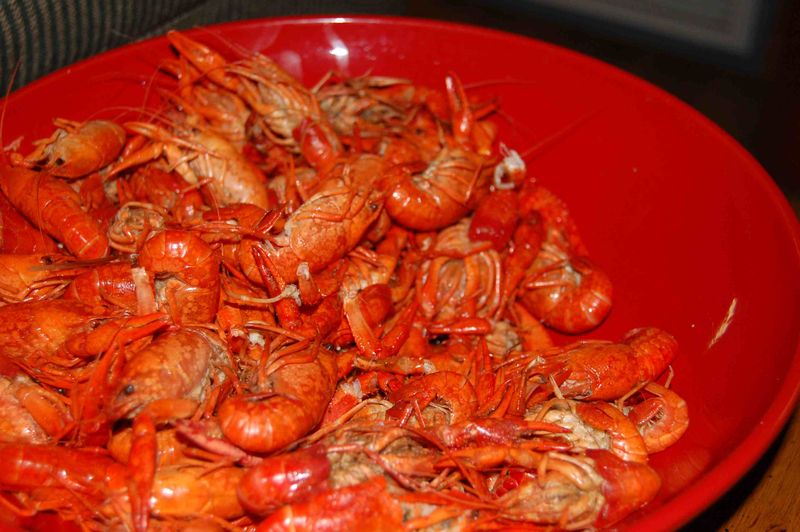 Crawdads Crawdads